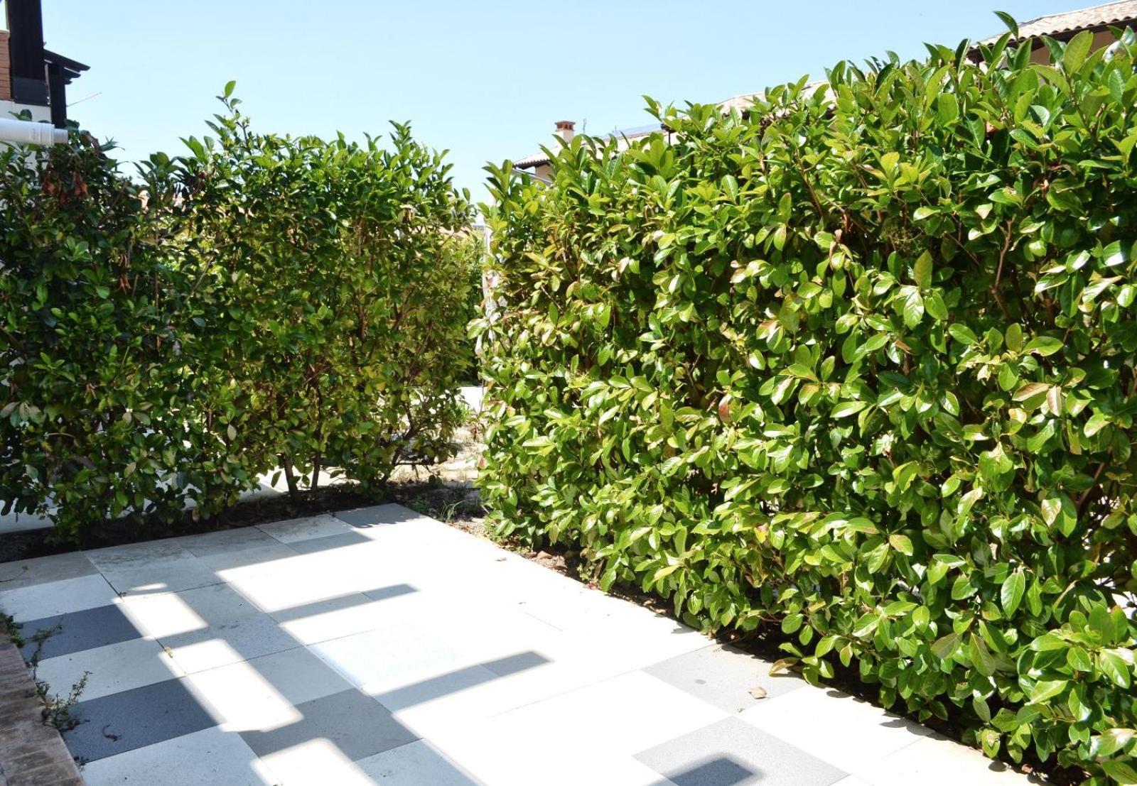 Le Case Del Carmine Con Giardino E Parcheggio A Tropea Dış mekan fotoğraf