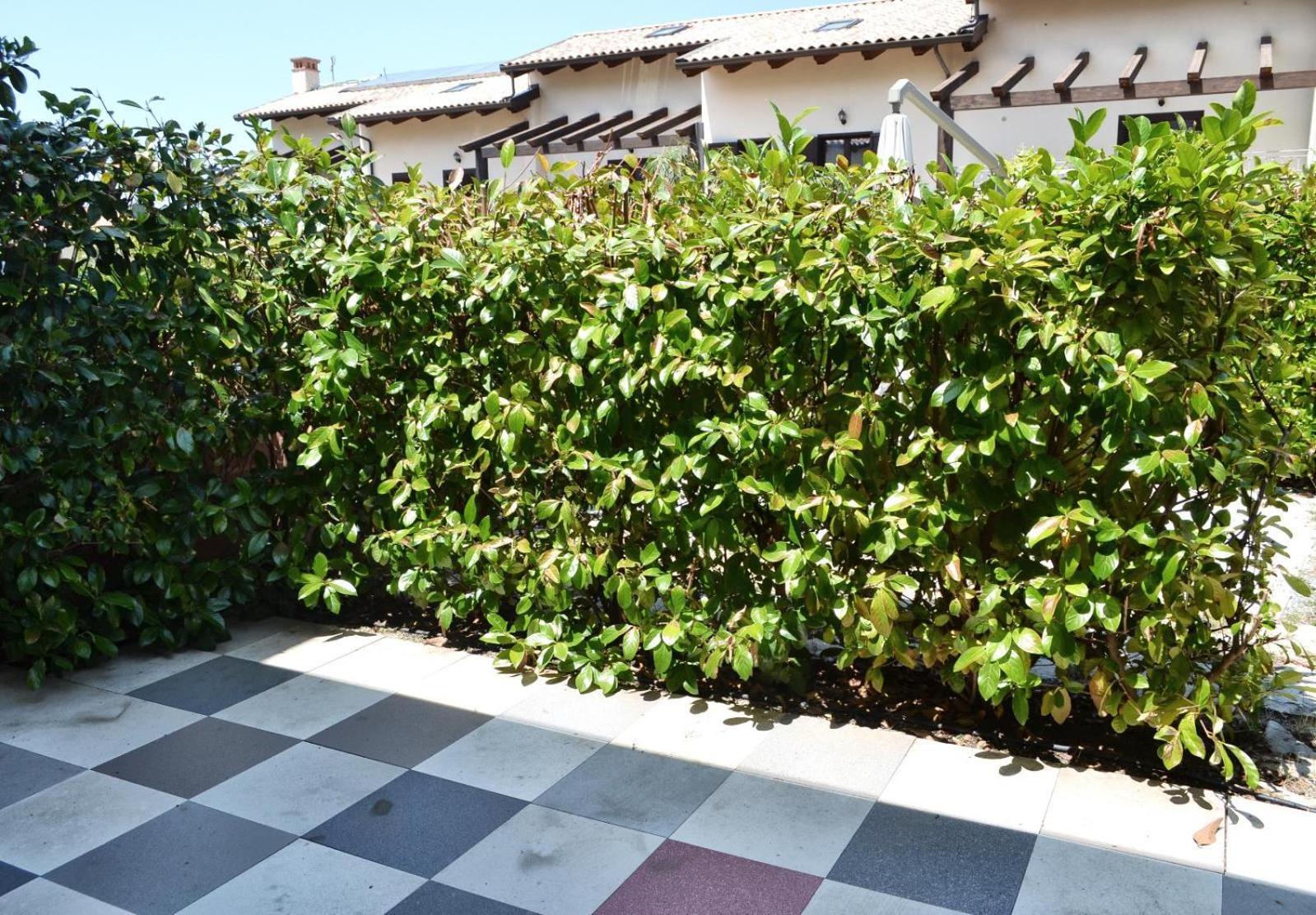 Le Case Del Carmine Con Giardino E Parcheggio A Tropea Dış mekan fotoğraf